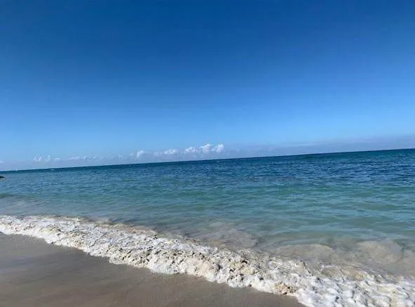 דירות מונטגו ביי Oceana Vista